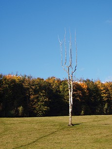 Copyright: Neil Rogers-Davis, 2007