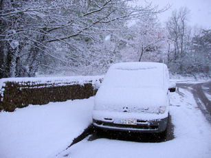 Copyright: Neil Rogers-Davis, 2008