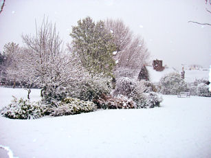 Copyright: Neil Rogers-Davis, 2008