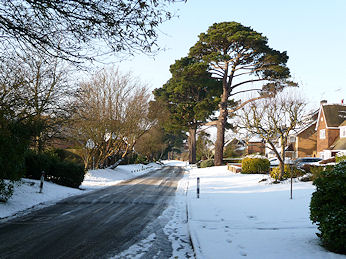 East Drive, Ham Manor